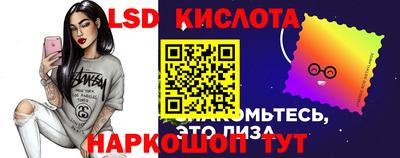 шишки Гай