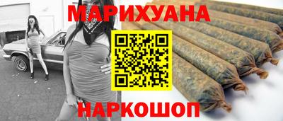шишки Гай