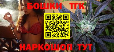 шишки Гай