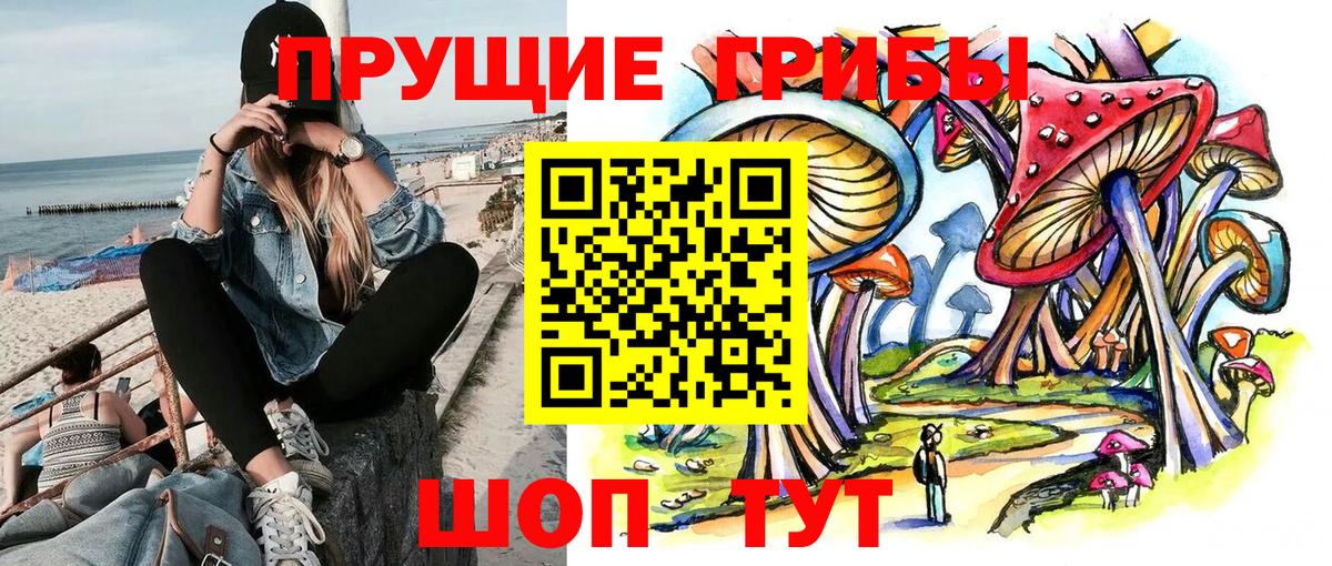 Минеральные Воды  Псилоцибиновые грибы Psilocybe  Вход с VPN 